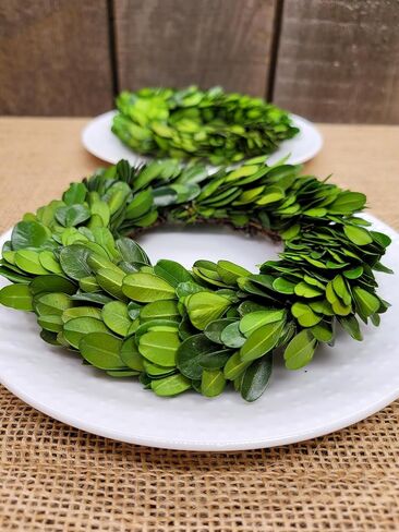 إكليل صغير - خشب البقس المحفوظ مقاس 15.24 سم، تركيب على الحائط والباب، وضع الطاولة، حلقة الشمعة in Kuwait