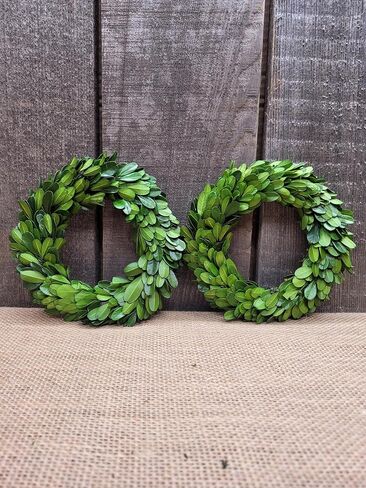 إكليل صغير - خشب البقس المحفوظ مقاس 15.24 سم، تركيب على الحائط والباب، وضع الطاولة، حلقة الشمعة in Kuwait