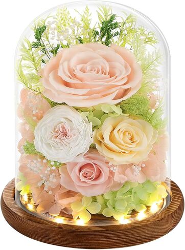 Forever Preserved Real Flowers for Delivery Prime, Eternal Fresh Roses in Glass Dome with LED Lights, Mothers Day Gifts for Mom, Her, Wife, Grandma, Daughter, Women, Girlfriend, Birthday, Red in Kuwait