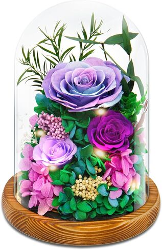 jabeick Forever Fresh Flowers Bouquet in Glass Dome with Light Preserved Purple Roses Long-Lasting Real Flowers Gifts for Women on Valentines Day & Mothers Day Birthday Anniversaries in Saudi Arabia