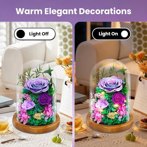 jabeick Forever Fresh Flowers Bouquet in Glass Dome with Light Preserved Purple Roses Long-Lasting Real Flowers Gifts for Women on Valentines Day & Mothers Day Birthday Anniversaries in Saudi Arabia