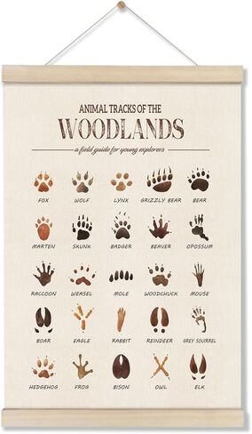 DOI-LANEE Woodland Tracks Poster Hanger Frame, Canvas Artwork Woodland Nursery, Jungle Nursery Decor, Animal Tracks Field Guide Sign, Forest Wall Art, Boy Wall Decor in Saudi Arabia