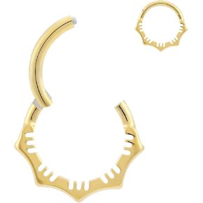 1Pcs 16G Titanium Nose Rings Silver Flower Hinged Septum Ring 16 Gauge 7mm 8mm 10mm Daith Hoop Earring Stacked Septum Rook Clicker Piercing in Saudi Arabia