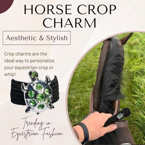 سلحفاة سحر المحاصيل in Kuwait