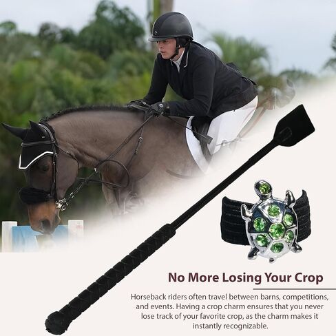 سلحفاة سحر المحاصيل in Kuwait