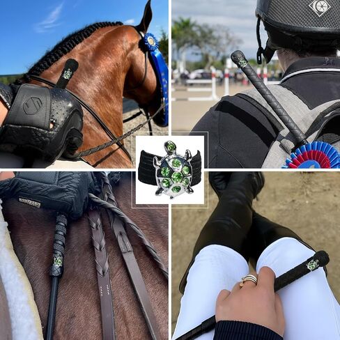 سلحفاة سحر المحاصيل in Kuwait