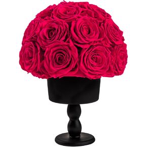Eternal Rose Dome with Vintage Pedestal, 23 Forever Preserved Roses Arrangement for Home Decoration, Ideal Gift for Christmas,Valentine's Day, Mother's Day, Birthdays-Red in Saudi Arabia
