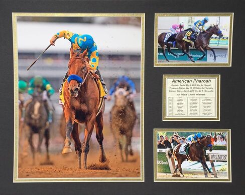 American Pharoah - Horizontal 16" X 20" Unframed Matted Photo Collage By Legends Never Die, Inc. in Saudi Arabia