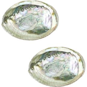 2 Pcs Large Abalone Shell Bowl 4-4.5 Inch Colorful Natural Smudge Bowl for Sage Burning and Incense Sea Shell Smudging Bowl for Decor and Display, Incense Holders in Saudi Arabia