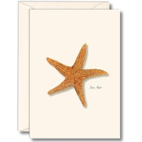 Earth Sky + Water - Sea Star Notecard Set - 8 Blank Cards with Envelopes