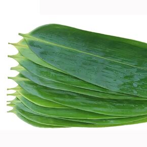 PNANA 400 pcs - Sushi Making Kit Bamboo Leaf Plates Zongzi Diy Food Plate Decoration for Party Birthday Theme (leaf, 400 ct)