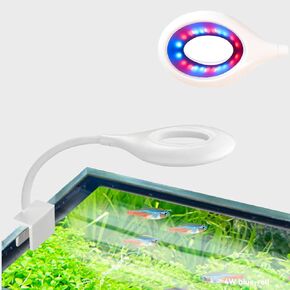 Teddykala Clip On Aquarium Light, Multi-Color Aquarium Plant Light with 22&36 Lamp Beads,USB Full Spectrum Aquarium Light for Under 0.5 Inch Thickness Fish Tank. (4W+Clip Light+Blue White)