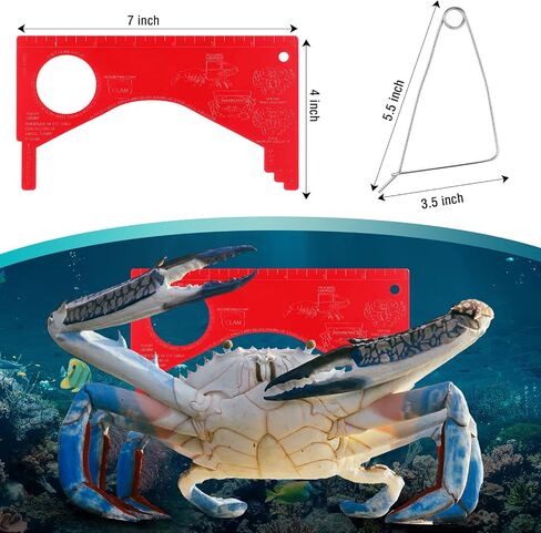 2 Sets Crab Trap Bait Wire Grid Bottom Crab Nets Foldable Fishing Net Hand Casting Cage Crab Ring Trap with Harness and Bait Clip in Saudi Arabia