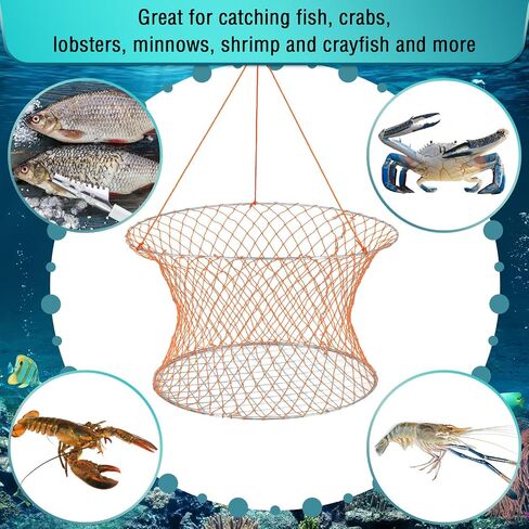 2 Sets Crab Trap Bait Wire Grid Bottom Crab Nets Foldable Fishing Net Hand Casting Cage Crab Ring Trap with Harness and Bait Clip in Saudi Arabia
