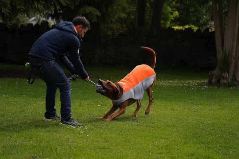 4LegsFriend Cooling Vest for Medium to Large Dogs - Evaporative Vest for Hot Summer Days - Adjustable Cooling Jacket with Reflective Strips (Orange/Grey, Medium) in Kuwait