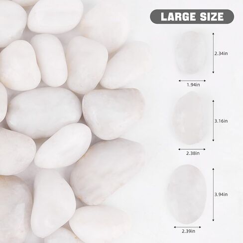WHANLEY L&Q 2 LB صخور نهرية بيضاء كريمية (1.5 ~ 2.5 بوصة) صخور بيضاء للنباتات، أحجار زخرفية، صخور خزان الأسماك، حشوات المزهرية، الحصى البيضاء، حصى حوض السمك، الحصى، صخور النهر، أحجار الزينة، الصخور in Kuwait