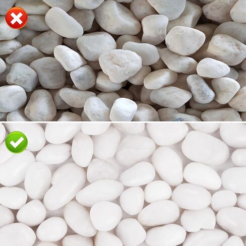 WHANLEY L&Q 2 LB صخور نهرية بيضاء كريمية (1.5 ~ 2.5 بوصة) صخور بيضاء للنباتات، أحجار زخرفية، صخور خزان الأسماك، حشوات المزهرية، الحصى البيضاء، حصى حوض السمك، الحصى، صخور النهر، أحجار الزينة، الصخور in Kuwait