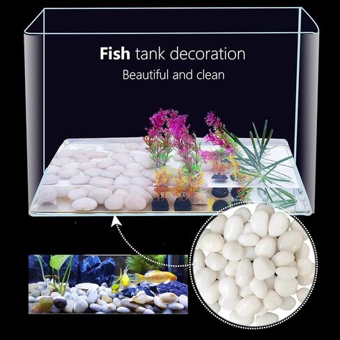 WHANLEY L&Q 2 LB صخور نهرية بيضاء كريمية (1.5 ~ 2.5 بوصة) صخور بيضاء للنباتات، أحجار زخرفية، صخور خزان الأسماك، حشوات المزهرية، الحصى البيضاء، حصى حوض السمك، الحصى، صخور النهر، أحجار الزينة، الصخور in Kuwait