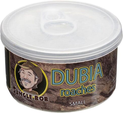 Jungle Bob - Canned Dubia Roaches - Preserved Feeder Insect Food for Reptiles - High Protein - Easy to Dispense from Can - Reusable Plastic Lid - Odor Free - Small - 0.44oz - Approximately 50 Count in Saudi Arabia