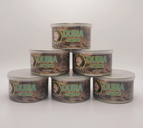Jungle Bob - Canned Dubia Roaches - Preserved Feeder Insect Food for Reptiles - High Protein - Easy to Dispense from Can - Reusable Plastic Lid - Odor Free - Small - 0.44oz - Approximately 50 Count in Saudi Arabia