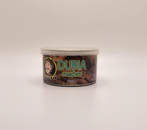 Jungle Bob - Canned Dubia Roaches - Preserved Feeder Insect Food for Reptiles - High Protein - Easy to Dispense from Can - Reusable Plastic Lid - Odor Free - Small - 0.44oz - Approximately 50 Count in Saudi Arabia