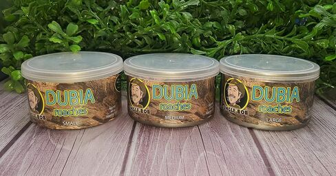 Jungle Bob - Canned Dubia Roaches - Preserved Feeder Insect Food for Reptiles - High Protein - Easy to Dispense from Can - Reusable Plastic Lid - Odor Free - Small - 0.44oz - Approximately 50 Count in Saudi Arabia