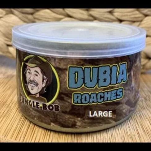 Jungle Bob - Canned Dubia Roaches - Preserved Feeder Insect Food for Reptiles - High Protein - Easy to Dispense from Can - Reusable Plastic Lid - Odor Free - Small - 0.44oz - Approximately 50 Count in Saudi Arabia