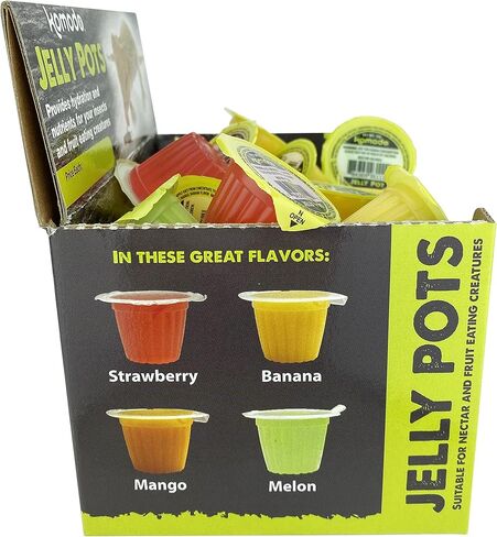 Komodo Jelly Pots Mixed Fruit Flavor Insect Food | Individually Portioned | Provides Nutrition & Hydration for Fruit-Eating Reptiles 40 Count Display (16g per Cup) in Saudi Arabia