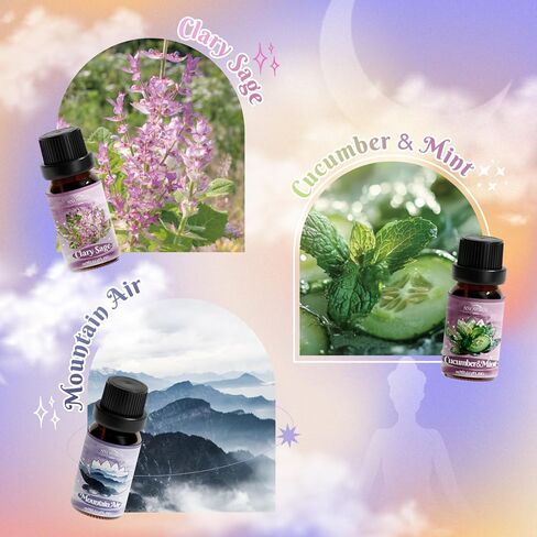 Essential Oils Roll on Set, Aromatherapy Oils with Roller Ball for Skin, Natural Essential Oil Roller Gift Set with Lavender, Peppermint, Frankincense, Eucalyptus, Lemon, Myrrh in Saudi Arabia
