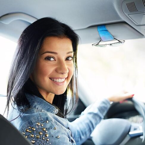 Sunglass Holder for Car Visor Sunglasses Clip Magnetic Leather Glasses Eyeglass Holder Truck Car Accessories for Woman Man -Abstract Leaf in Kuwait