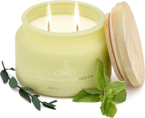 Cleansing and Protecting | 2-Wick Scented Candles for Home | Palo Santo & Sage | Natural Non Toxic Soy Candles with Essential Oils | 50 H Long Burning | Aromatherapy Candle Jar with Lid -9.5oz in Saudi Arabia