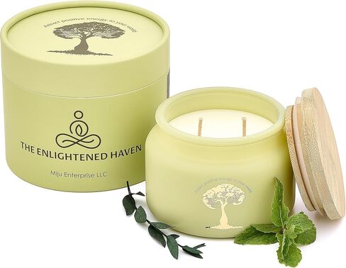 Cleansing and Protecting | 2-Wick Scented Candles for Home | Palo Santo & Sage | Natural Non Toxic Soy Candles with Essential Oils | 50 H Long Burning | Aromatherapy Candle Jar with Lid -9.5oz in Saudi Arabia