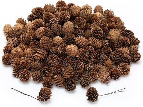 84 Pcs Natural Mini Pine Cone Kit with Brown Iron Wires for DIY - 0.6"-1.2" Small Pinecones Ornaments Bulk for Crafts, Vase Filler, Wrap, Fall, Wedding, Home (Natural) in Saudi Arabia