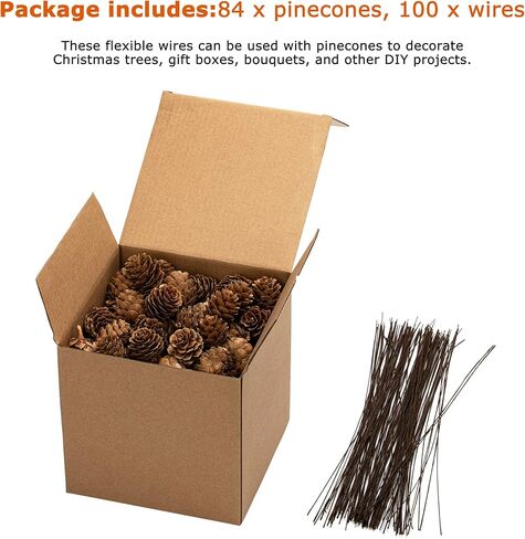84 Pcs Natural Mini Pine Cone Kit with Brown Iron Wires for DIY - 0.6"-1.2" Small Pinecones Ornaments Bulk for Crafts, Vase Filler, Wrap, Fall, Wedding, Home (Natural) in Saudi Arabia