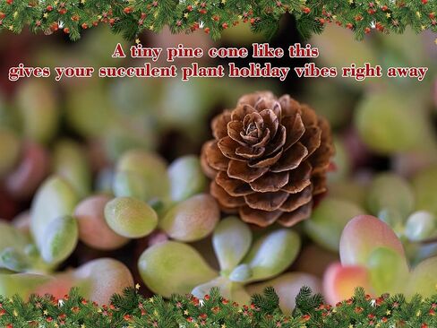 84 Pcs Natural Mini Pine Cone Kit with Brown Iron Wires for DIY - 0.6"-1.2" Small Pinecones Ornaments Bulk for Crafts, Vase Filler, Wrap, Fall, Wedding, Home (Natural) in Saudi Arabia