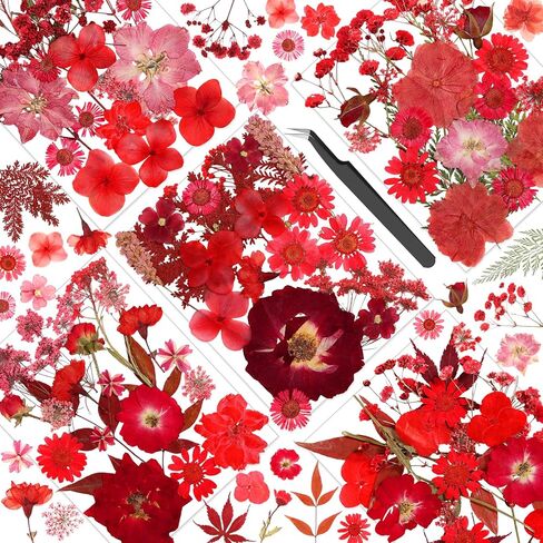 Real Dried Pressed Flowers for Crafts, 100+ PCS Fall Dried Flowers Leaves Nature Flowers Florals Set with Tweezer for Resin Jewelry Making Thanksgiving DIY Candle Scrapbooking Gift (Orange, Yellow) in Kuwait