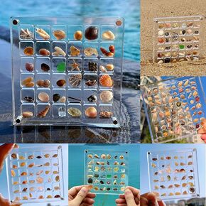 Acrylic Magnetic Seashell Display Box,36 Grids Seashell Display Case Decorative Seashell Starfish Trinket,Seashell Holder Stackable Small Craft Organizers Container for Bead,Nail,Jewelry