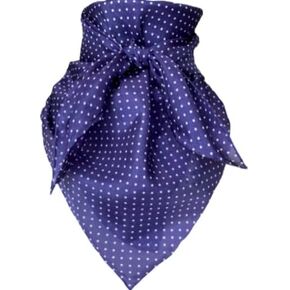 Wyoming Traders Polka Dot Silk Wild Rag Scarf - Navy Navy