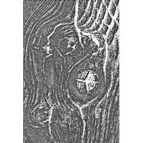 Sizzix 3-D Texture Fades Embossing Folder Woodgrain by Tim Holtz | 666297 | Scrapbooking, Cardmaking, Journalling, Silver