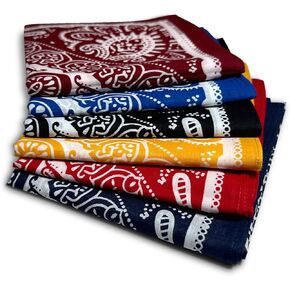 Endea Group 6-Pack Multi-Color All-Gender Bandanas Multi-Purpose Headband, Handkerchief, Head Wrap, Scarf Paisley 22x22 Inch