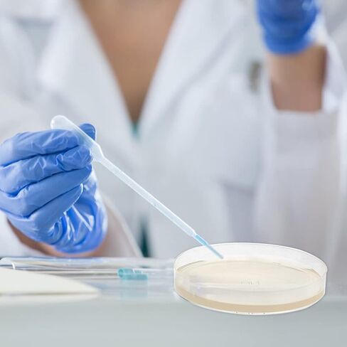 SOLUSTRE 10 قطعة طبق أجار المغذيات طبق بيتري طبق بيتري مع غطاء لوحات أجار لوحة الثقافة in Saudi Arabia