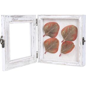 صندوق الظل 6 × 6، صناديق الظل المفصلية تعرض حافظات للصدف العتيقة، دبابيس الحشرات، دبابيس التحنيط، العملات المعدنية، أبيض متعثر in Kuwait