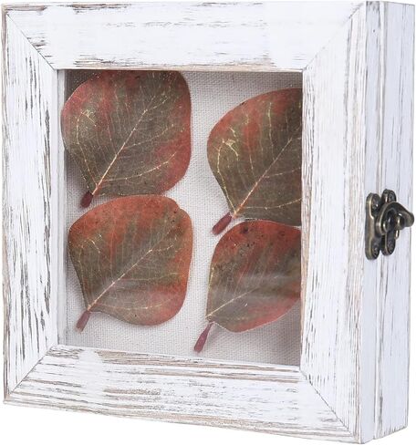 صندوق الظل 6 × 6، صناديق الظل المفصلية تعرض حافظات للصدف العتيقة، دبابيس الحشرات، دبابيس التحنيط، العملات المعدنية، أبيض متعثر in Kuwait