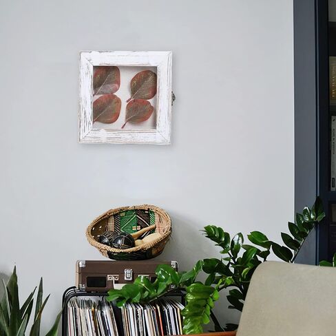 صندوق الظل 6 × 6، صناديق الظل المفصلية تعرض حافظات للصدف العتيقة، دبابيس الحشرات، دبابيس التحنيط، العملات المعدنية، أبيض متعثر in Kuwait