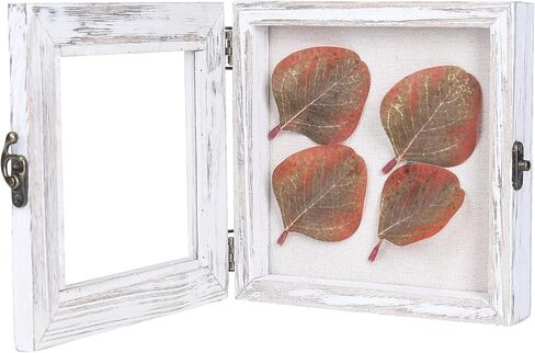 صندوق الظل 6 × 6، صناديق الظل المفصلية تعرض حافظات للصدف العتيقة، دبابيس الحشرات، دبابيس التحنيط، العملات المعدنية، أبيض متعثر in Kuwait