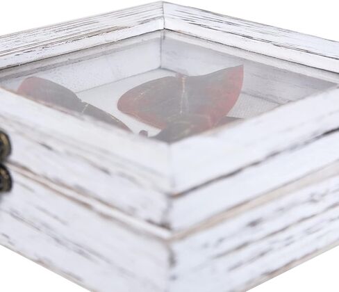 صندوق الظل 6 × 6، صناديق الظل المفصلية تعرض حافظات للصدف العتيقة، دبابيس الحشرات، دبابيس التحنيط، العملات المعدنية، أبيض متعثر in Kuwait