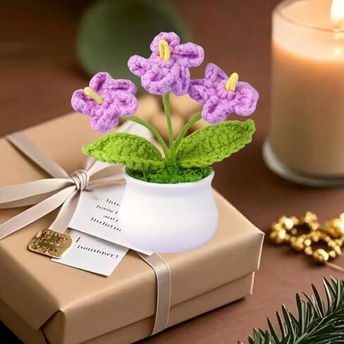 Crochet Flower Bouquet,Forget Me Not Flowers Pot Crocheted Flowers for Women Mom Wife, Perfect for Home Decorations Office Desk in Saudi Arabia