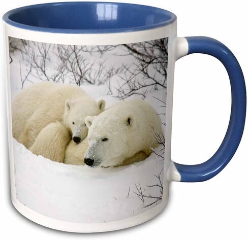 3dRose Polar Bear Female and Cub, Churchill, Manitoba, Canada Mug, 11 oz, Black in Saudi Arabia