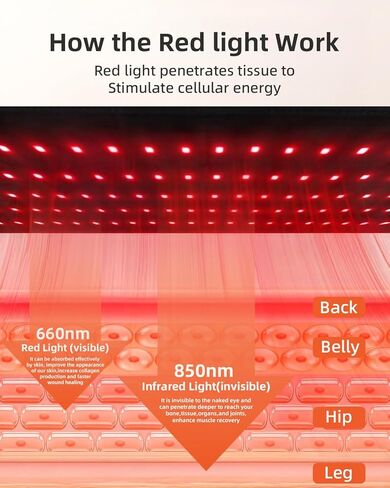 وسادة العلاج بالضوء الأحمر للجسم بالقرب من غلاف العلاج بالضوء بالأشعة تحت الحمراء مع مؤقت 24 بوصة × 12 بوصة وسادة علاج ضوئي كبيرة لتخفيف آلام العضلات والكتف والبطن والظهر in Kuwait