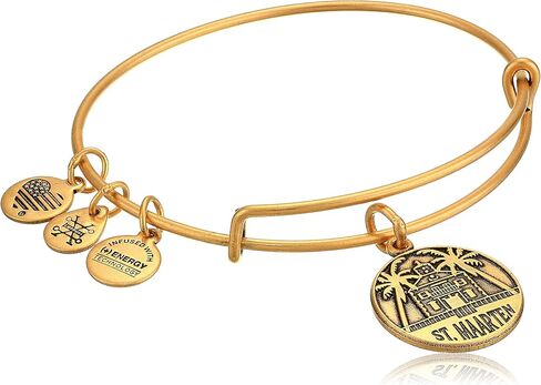 Alex And Ani Replenishment 19 Women's St Maarten Charm Bangle, Rafaelian Gold in Saudi Arabia